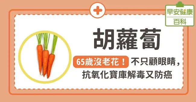 65歲沒老花！胡蘿蔔不只顧眼睛，抗氧化寶庫解毒又防癌