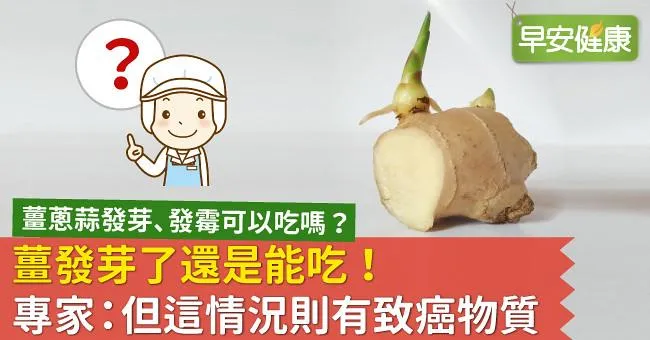 薑發芽了還是能吃！專家：但這情況則有致癌物質