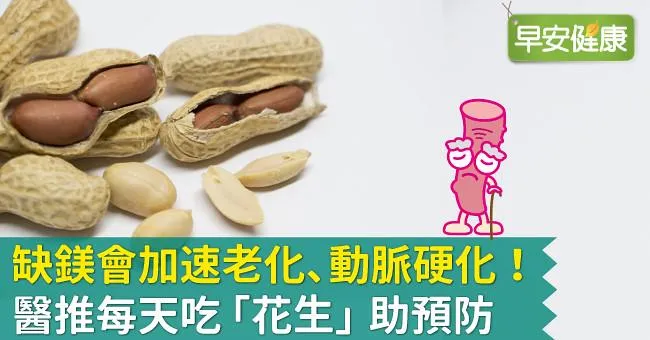 缺鎂會加速老化、動脈硬化！醫推每天吃「花生」助預防