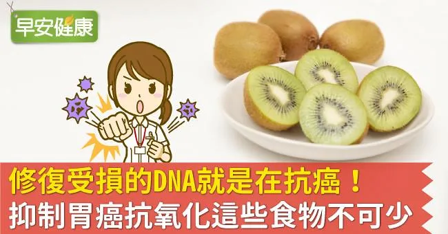 修復受損的DNA就是在抗癌！抑制胃癌抗氧化這些食物不可少