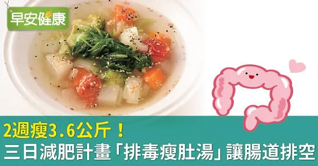 2週瘦3.6公斤！三日減肥計畫「排毒瘦肚湯」讓腸道排空