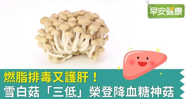燃脂排毒又護肝！雪白菇「三低」榮登降血糖神菇