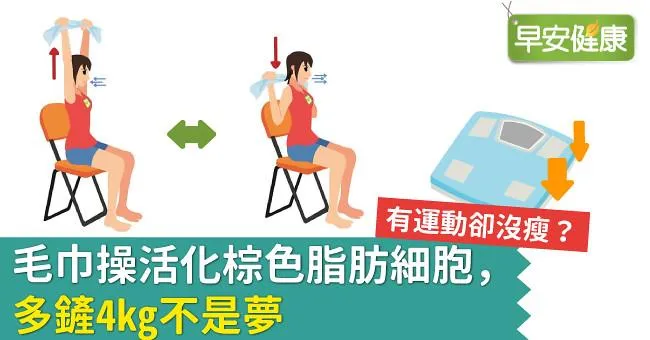 有運動卻沒瘦？毛巾操活化棕色脂肪細胞，多鏟4kg不是夢