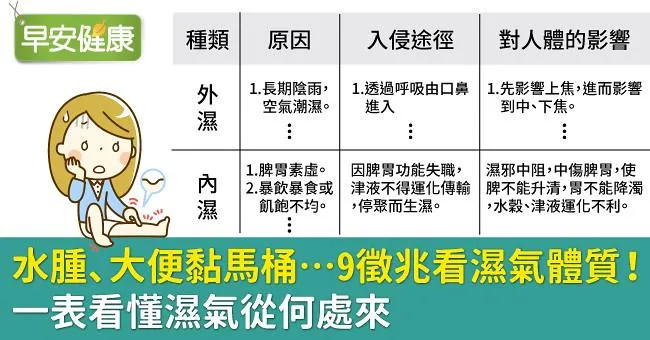 水腫、大便黏馬桶…9徵兆看濕氣體質！一表看懂濕氣從何處來
