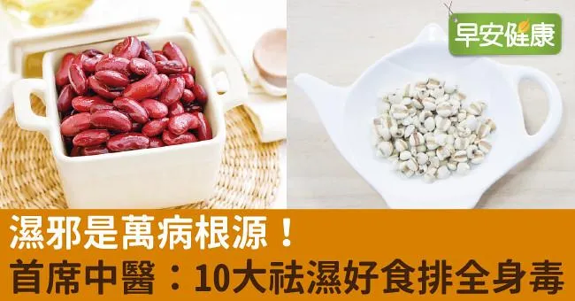 濕邪是萬病根源！首席中醫：10大祛濕好食排全身毒