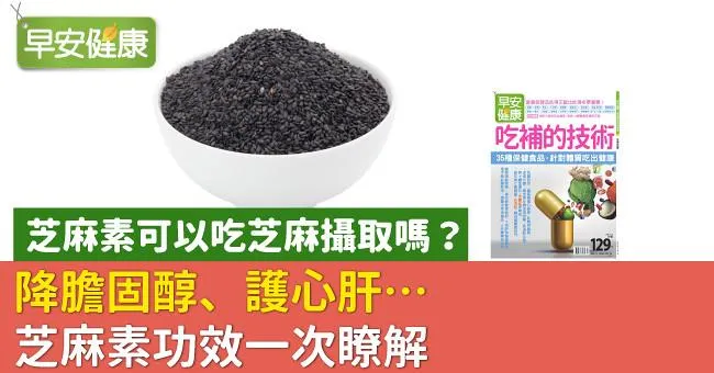 芝麻素可以吃芝麻攝取嗎？降膽固醇、護心肝…芝麻素功效一次瞭解