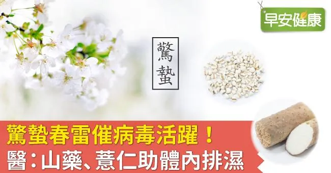驚蟄春雷催病毒活躍！醫：山藥、薏仁助體內排濕