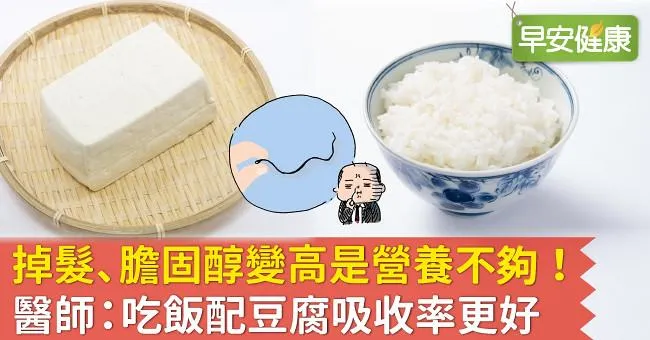 掉髮、膽固醇變高是營養不夠！醫師：吃飯配豆腐吸收率更好