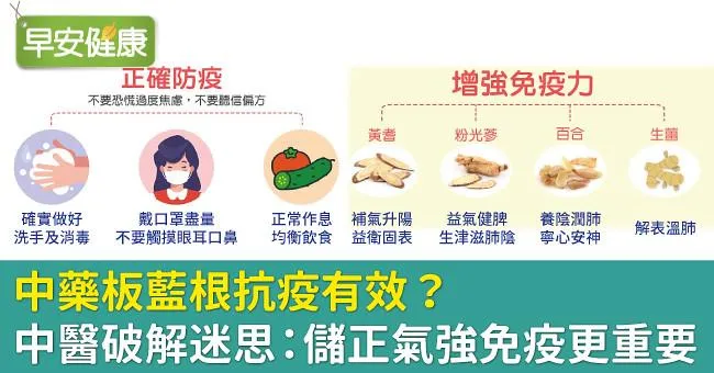 中藥板藍根抗疫有效？中醫破解迷思：儲正氣強免疫更重要