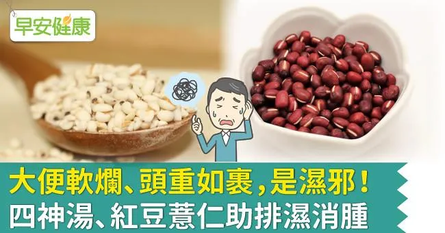大便軟爛、頭重如裹，是濕邪！四神湯、紅豆薏仁助排濕消腫