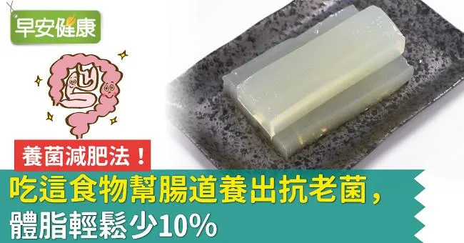 養菌減肥法！吃這食物幫腸道養出抗老菌，體脂輕鬆少10％