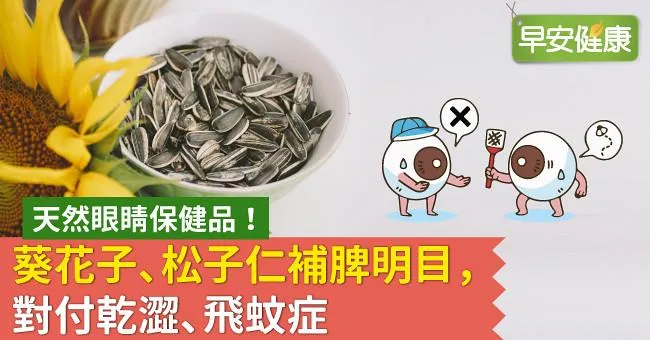 天然眼睛保健品！葵花子、松子仁補脾明目，對付乾澀、飛蚊症