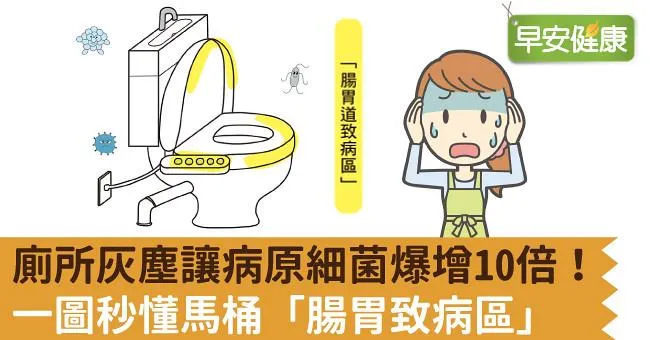 廁所灰塵讓病原細菌爆增10倍！一圖秒懂馬桶「腸胃致病區」