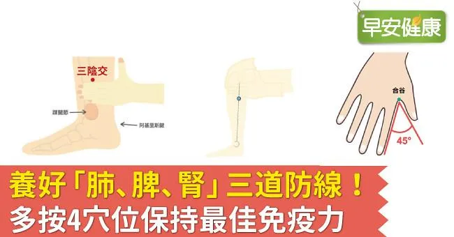 養好「肺、脾、腎」三道防線！多按4穴位保持最佳免疫力