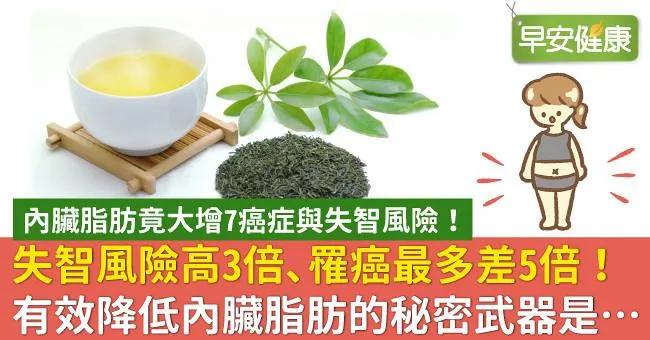 失智風險高3倍、罹癌最多差5倍！有效降低內臟脂肪的秘密武器是…