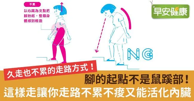 腳的起點不是鼠蹊部！這樣走讓你走路不累不痠又能活化內臟