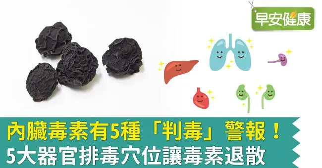 內臟毒素有5種「判毒」警報！5大器官排毒穴位讓毒素退散