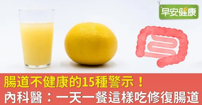 腸道不健康的15種警示！內科醫：一天一餐這樣吃修復腸道