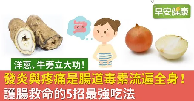 發炎與疼痛是腸道毒素流遍全身！護腸救命的5招最強吃法
