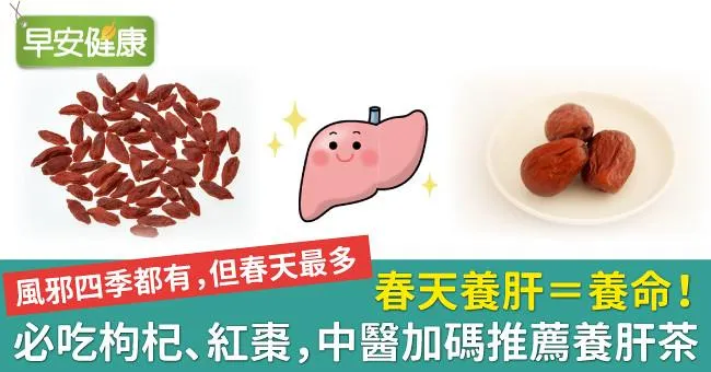 春天養肝＝養命！必吃枸杞、紅棗，中醫加碼推薦養肝茶