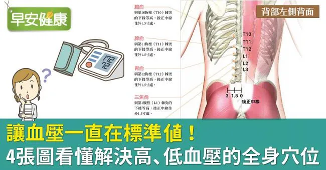 讓血壓一直在標準值！解決高、低血壓的全身穴位地圖