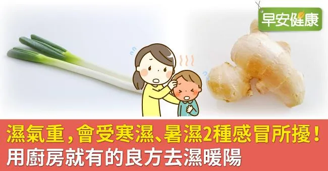 濕氣重，會受寒濕、暑濕2種感冒所擾！用廚房就有的良方去濕暖陽
