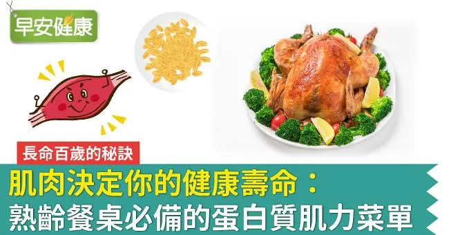 肌肉決定你的健康壽命：熟齡餐桌必備的蛋白質肌力菜單