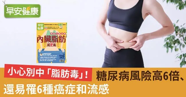 小心別中「脂肪毒」！糖尿病風險高6倍、還易罹6種癌症和流感