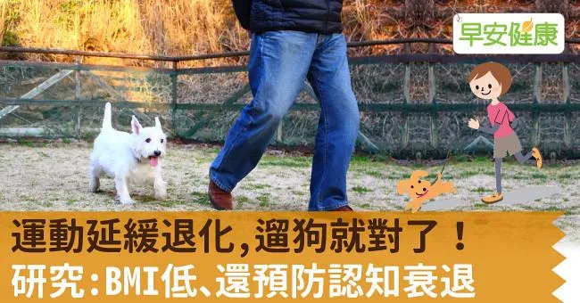 運動延緩退化，遛狗就對了！研究：BMI低、還預防認知衰退