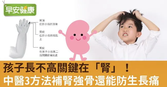 孩子長不高關鍵在「腎」！中醫3方法補腎強骨還能防生長痛