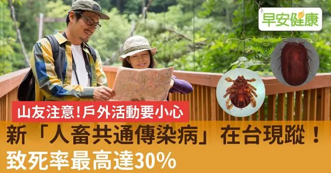 新「人畜共通傳染病」在台現蹤！致死率最高達30％