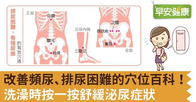 改善頻尿、排尿困難的穴位百科！洗澡時按一按舒緩泌尿症狀