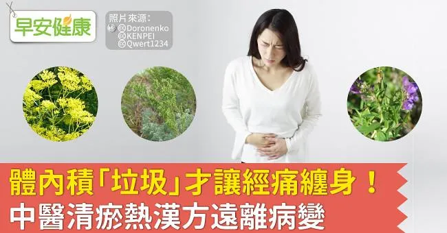 體內積「垃圾」才讓經痛纏身！中醫清瘀熱漢方遠離病變