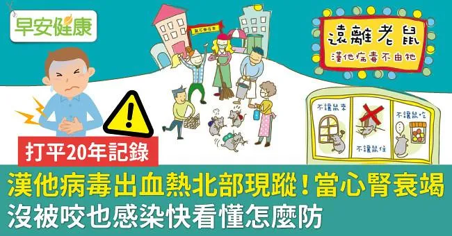 漢他病毒出血熱北部現蹤！當心腎衰竭，沒被咬也感染快看懂怎麼防