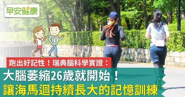 大腦萎縮26歲就開始！瑞典腦科學實證：讓海馬迴持續長大的記憶訓練