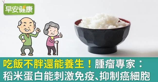 吃飯不胖還能養生！腫瘤專家：稻米蛋白能刺激免疫、抑制癌細胞