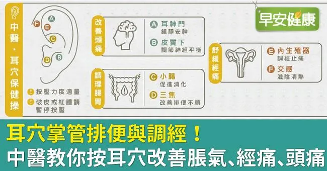 耳穴掌管排便與調經！中醫教你按耳穴改善脹氣、經痛、頭痛