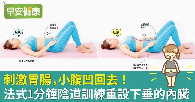 刺激胃腸，小腹凹回去！法式1分鐘陰道訓練重設下垂的內臟