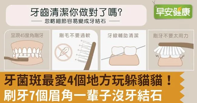 牙菌斑最愛4個地方玩躲貓貓！刷牙7個眉角一輩子沒牙結石