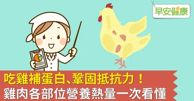 吃雞補蛋白、鞏固抵抗力！雞肉各部位營養熱量一次看懂