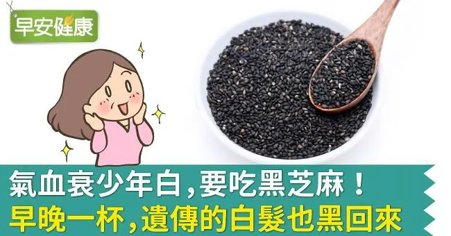 氣血衰少年白，要吃黑芝麻！早晚一杯，遺傳的白髮也黑回來