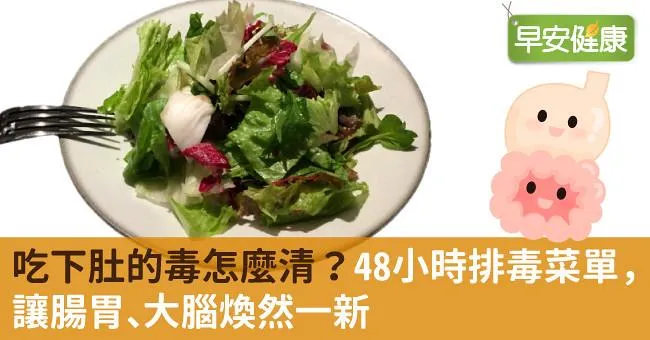 吃下肚的毒怎麼清？48小時排毒菜單，讓腸胃、大腦煥然一新