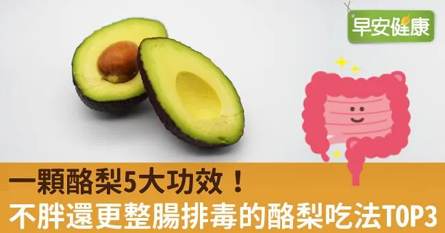 一顆酪梨5大功效！不胖還更整腸排毒該怎麼吃TOP3