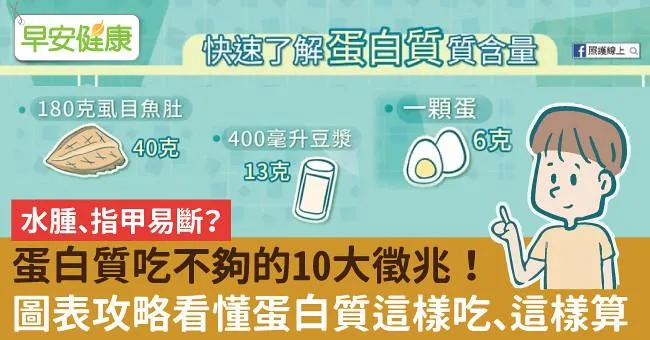 水腫、指甲易斷？蛋白質吃不夠的10大徵兆！圖表攻略看懂蛋白質這樣吃、這樣算