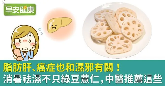 脂肪肝、癌症也和濕邪有關！消暑祛濕不只綠豆薏仁，中醫推薦這些