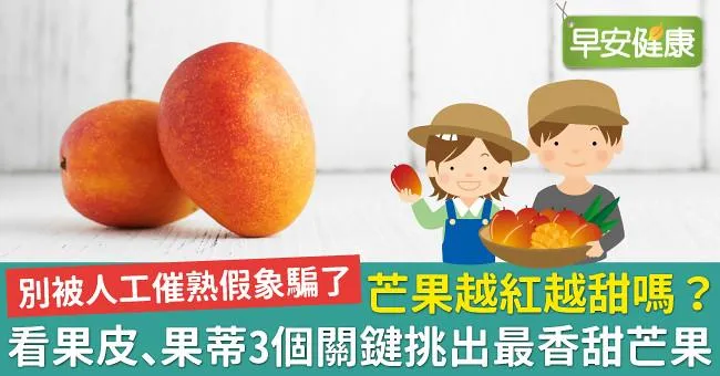 芒果越紅越甜嗎？看果皮、果蒂3個關鍵挑出最香甜芒果