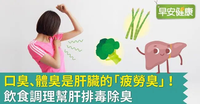 口臭、體臭是肝臟的「疲勞臭」！飲食調理幫肝排毒除臭