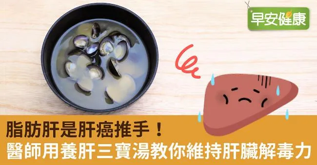 脂肪肝是肝癌推手！醫師用養肝三寶湯教你維持肝臟解毒力