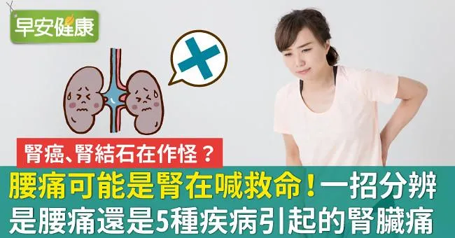 腰痛可能是腎在喊救命！一招分辨是腰痛還是5種疾病引起的腎臟痛