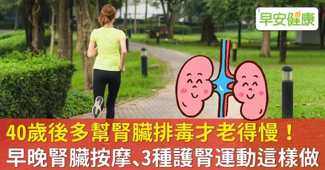 40歲後多幫腎臟排毒才老得慢！早晚腎臟按摩、3種護腎運動這樣做